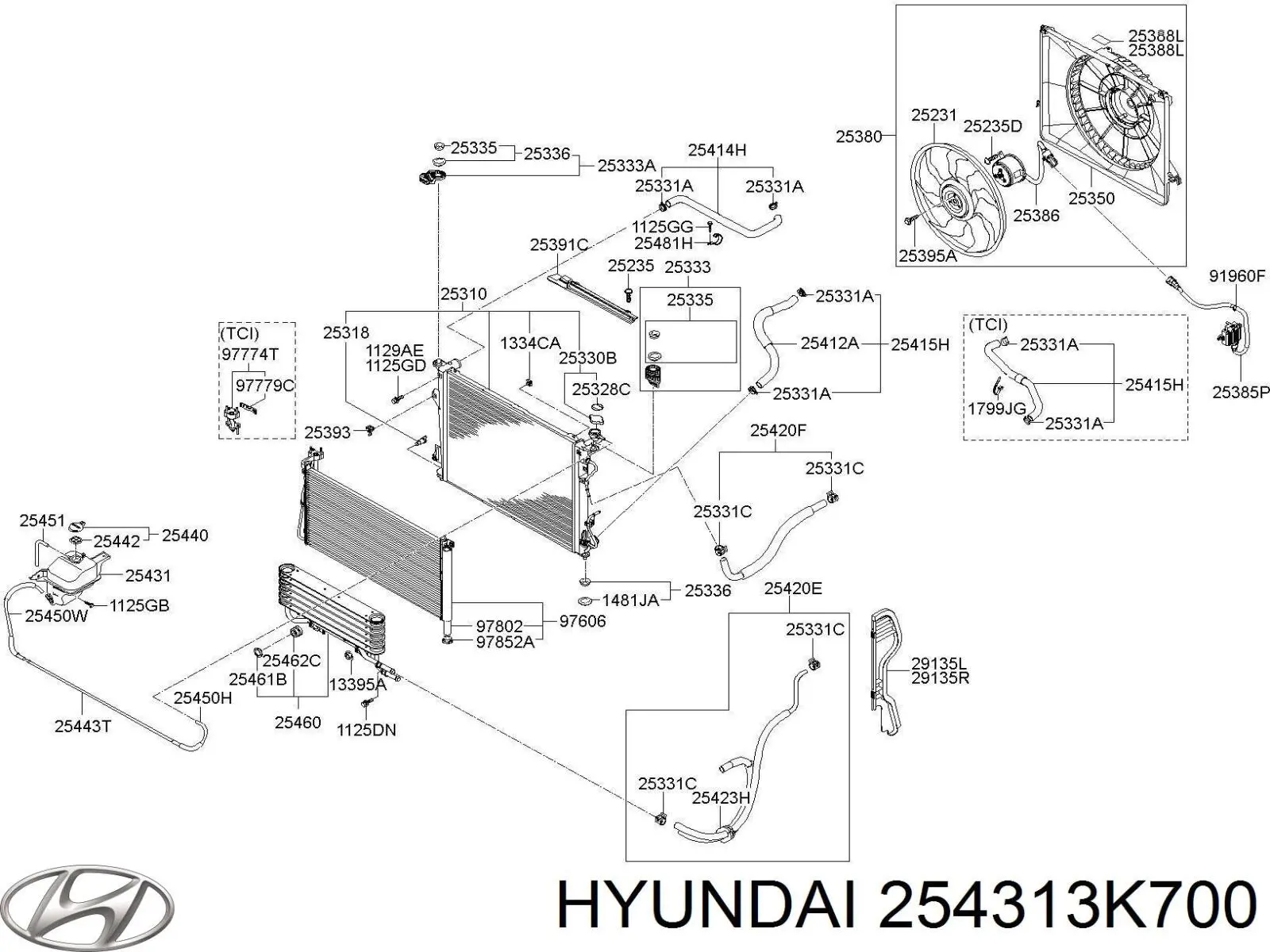 254313K700 Hyundai/Kia Розширювальний бачок охолодження