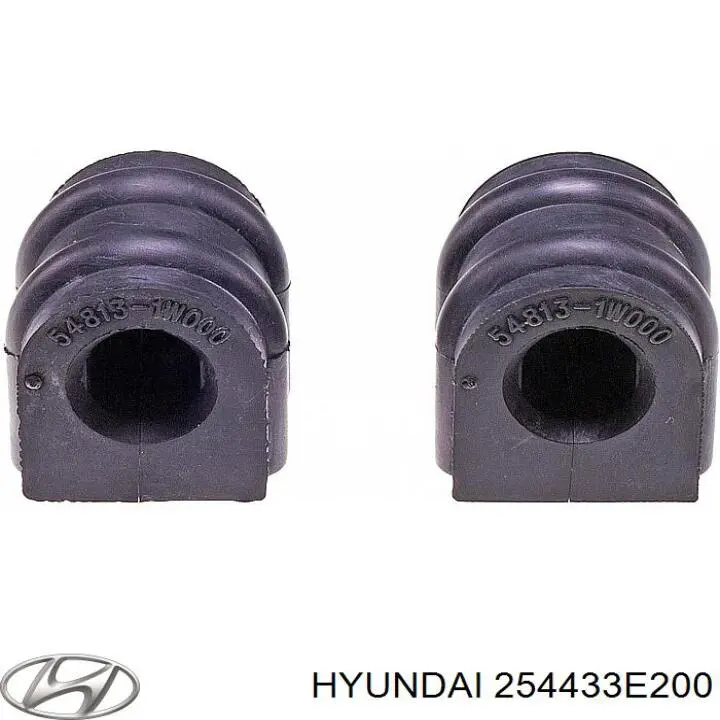 254433E200 Hyundai/Kia 