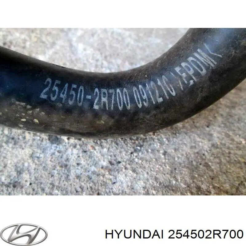 254502R700 Hyundai/Kia 