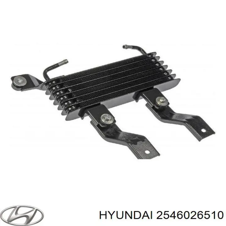 2546026510 Hyundai/Kia радіатор масляний