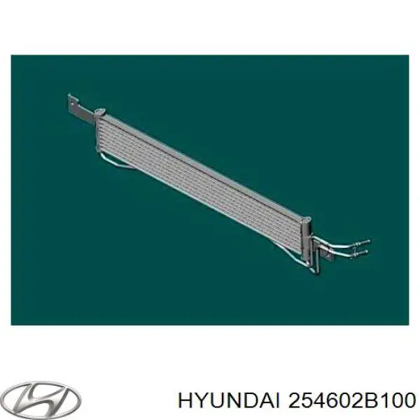 Радіатор охолодження, АКПП Hyundai/Kia 254602B100 ціна, від 28.18 USD
