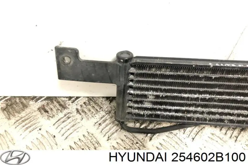 Радіатор охолодження, АКПП на Hyundai Santa Fe (CM)