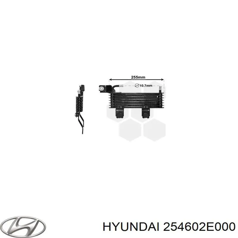 Радіатор охолодження, АКПП Hyundai/Kia 254602E000 ціна, від 59.07 USD
