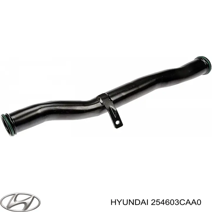 Купити 254603CAA0 Hyundai/Kia Трубопроводи і шланги системи охолодження