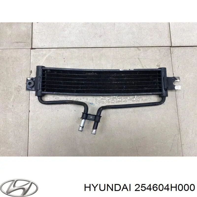  254604H000 Hyundai/Kia