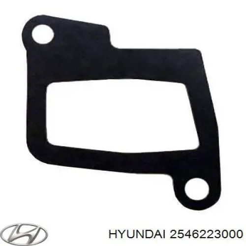 2546223000 Hyundai/Kia Прокладка фланця (трійника) системи охолодження