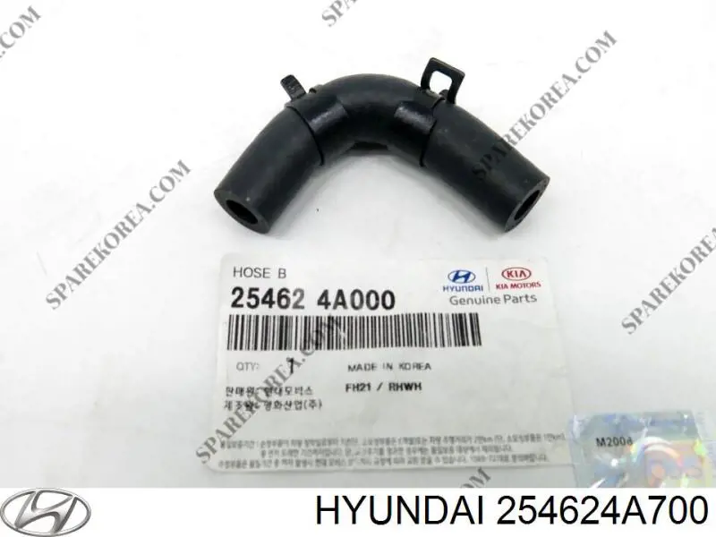 254624A700 Hyundai/Kia 