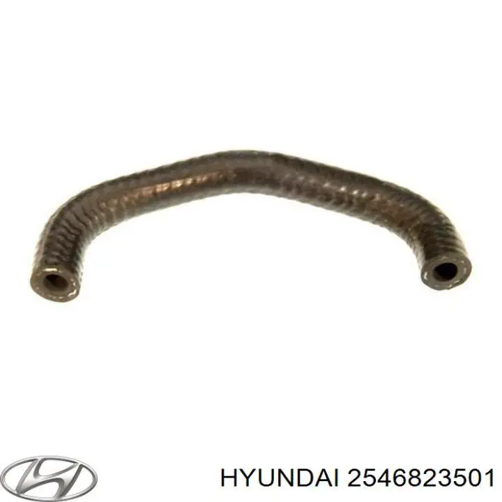 2546823501 Hyundai/Kia шланг (патрубок обігріву дросельної заслінки)