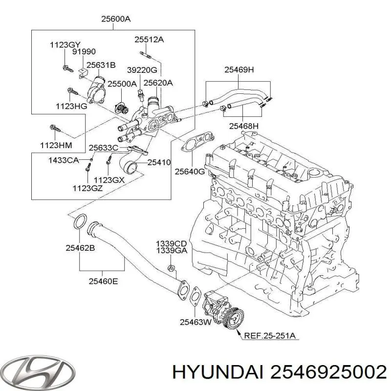 2546925002 Hyundai/Kia 