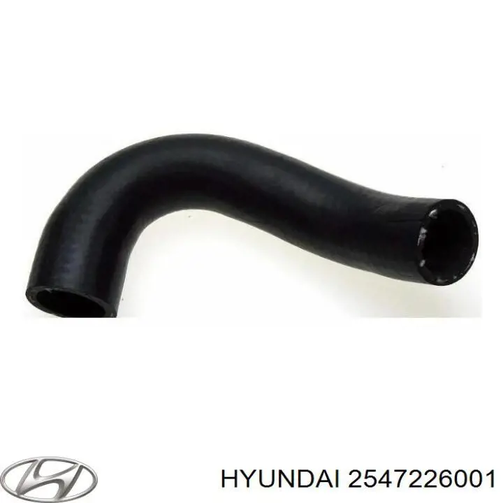 Купити 2547226001 Hyundai/Kia Трубопроводи і шланги системи охолодження