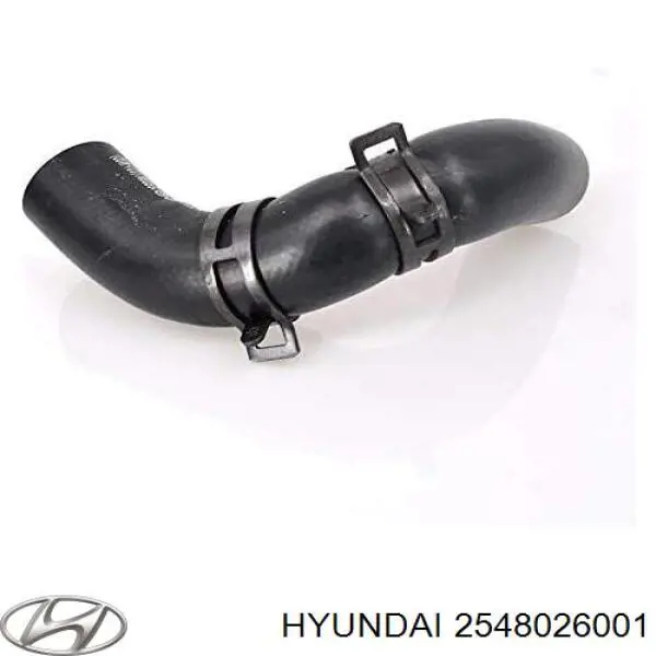 Купити 2548026001 Hyundai/Kia Трубопроводи і шланги системи охолодження