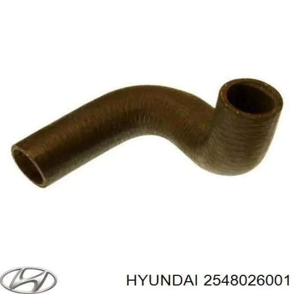Шланг/патрубок системи охолодження Hyundai/Kia 2548026001 ціна, від 14.31 USD