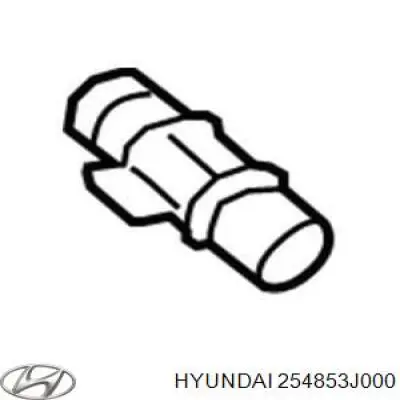 254853J000 Hyundai/Kia Швидкознімна муфта шланга радіатора охолодження