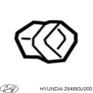 Швидкознімна муфта шланга радіатора охолодження Hyundai/Kia 254853J000 ціна, від 10.66 USD
