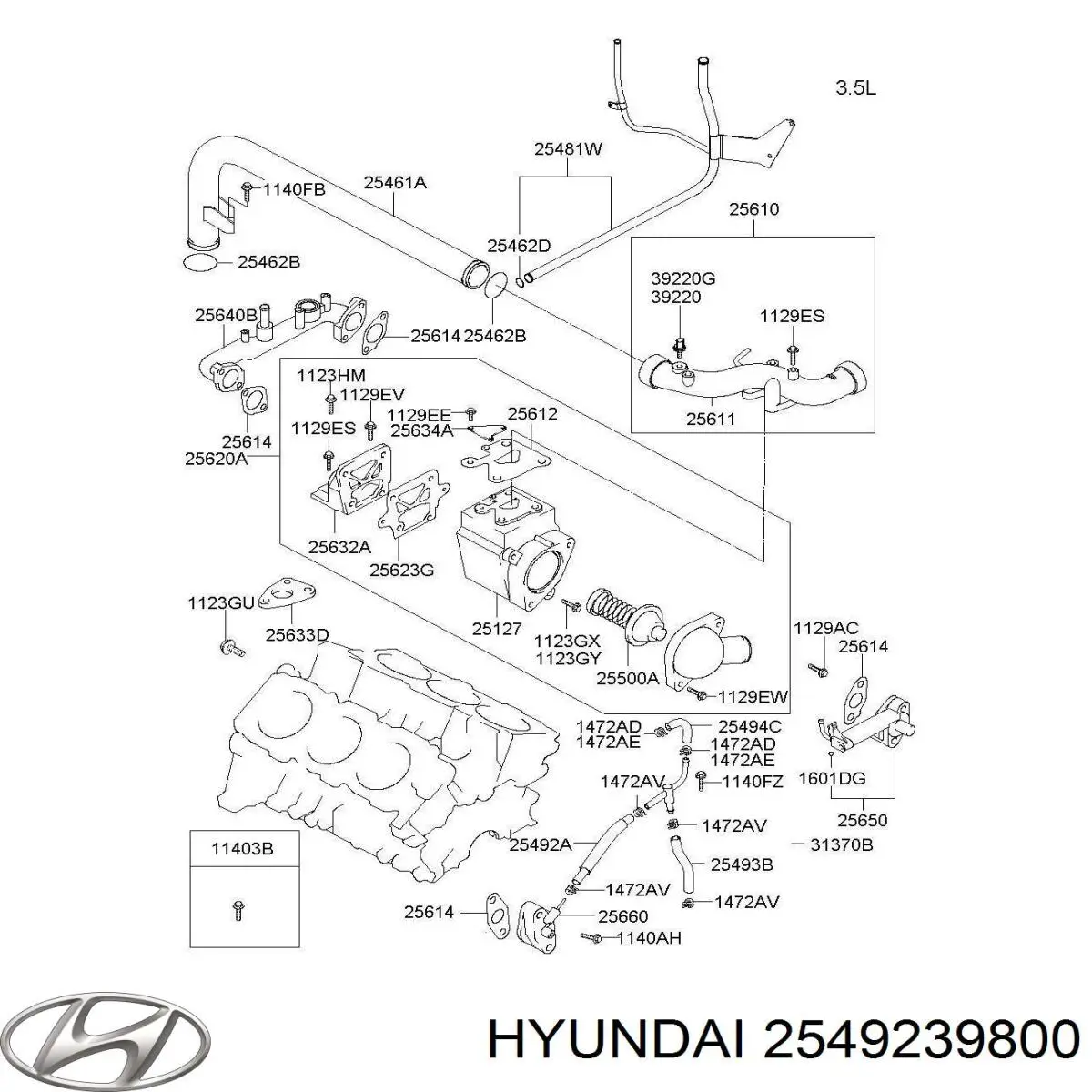  2549239800 Hyundai/Kia