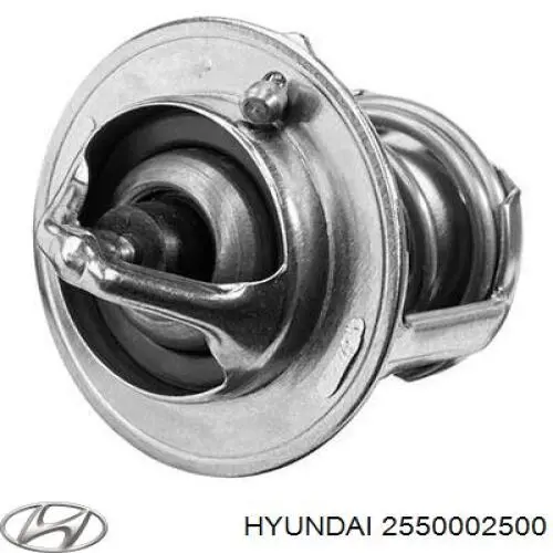 2550002500 Hyundai/Kia Авто термостат