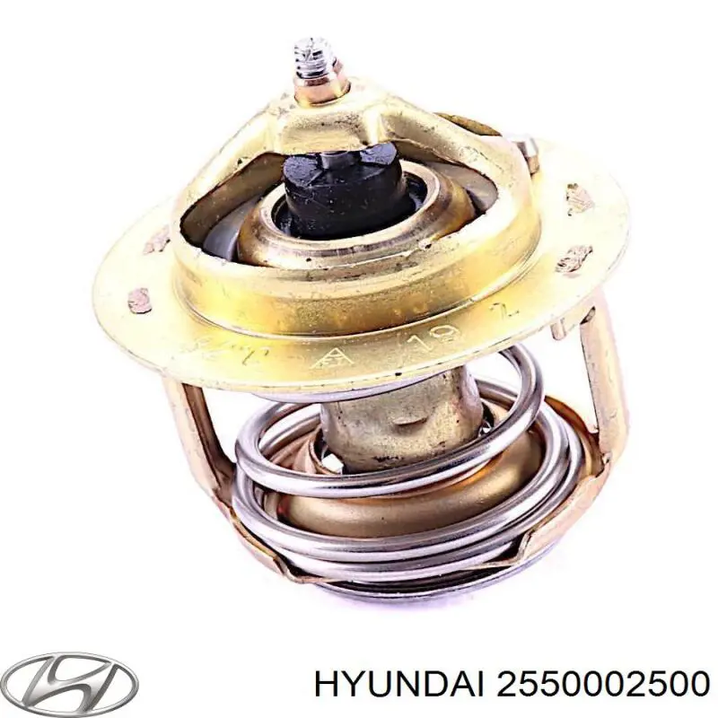 Купити 2550002500 Hyundai/Kia Термостат в корпусі