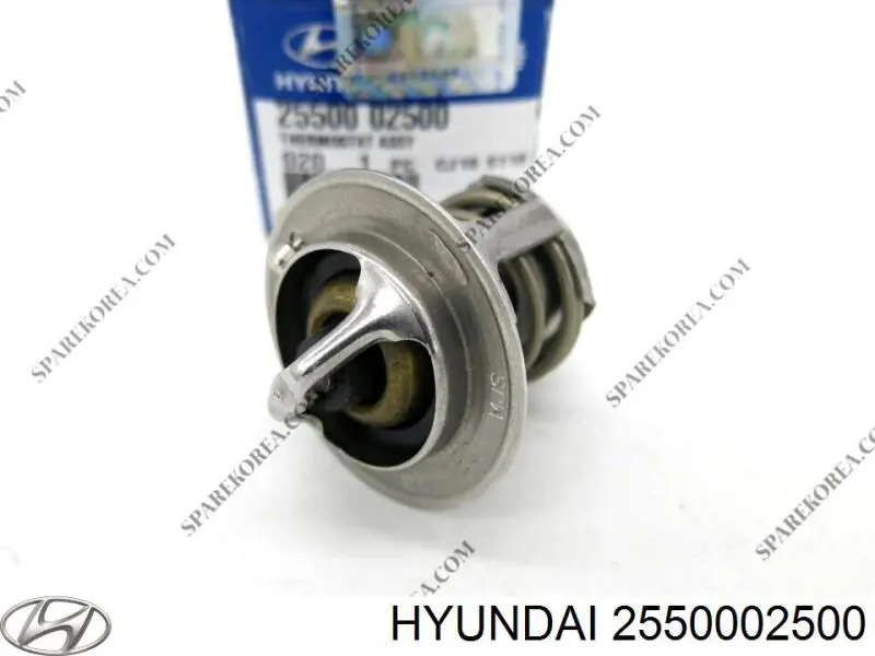 Термостат в зборі Hyundai/Kia 2550002500