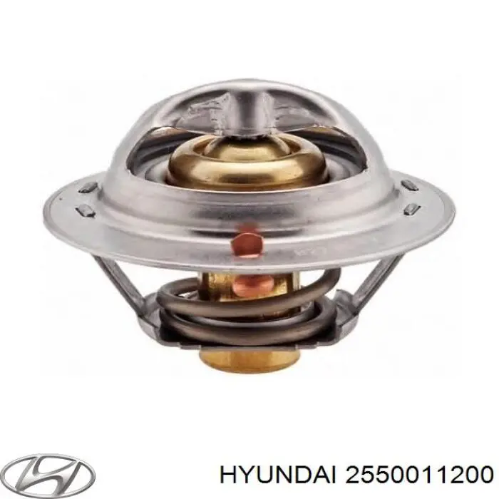 Купити 2550011200 Hyundai/Kia Термостат в корпусі