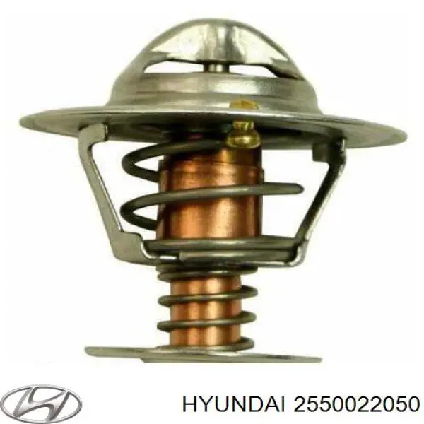 2550022050 Hyundai/Kia термостат