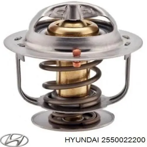 Купити 2550022200 Hyundai/Kia Термостат в корпусі