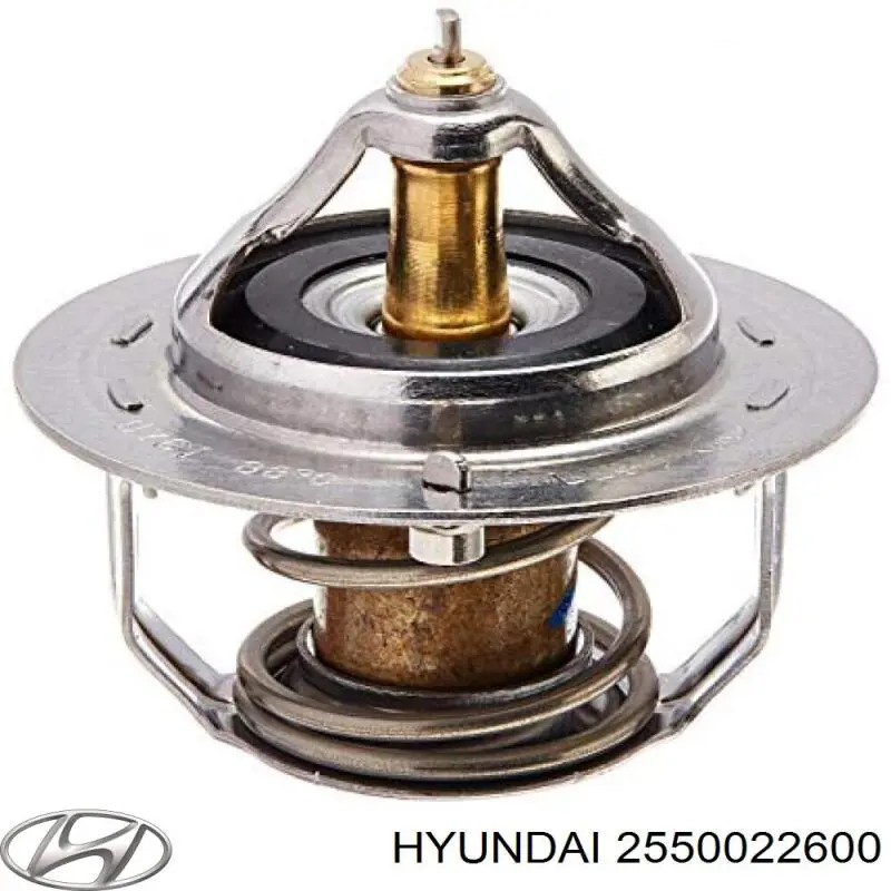 Купити 2550022600 Hyundai/Kia Термостат в корпусі