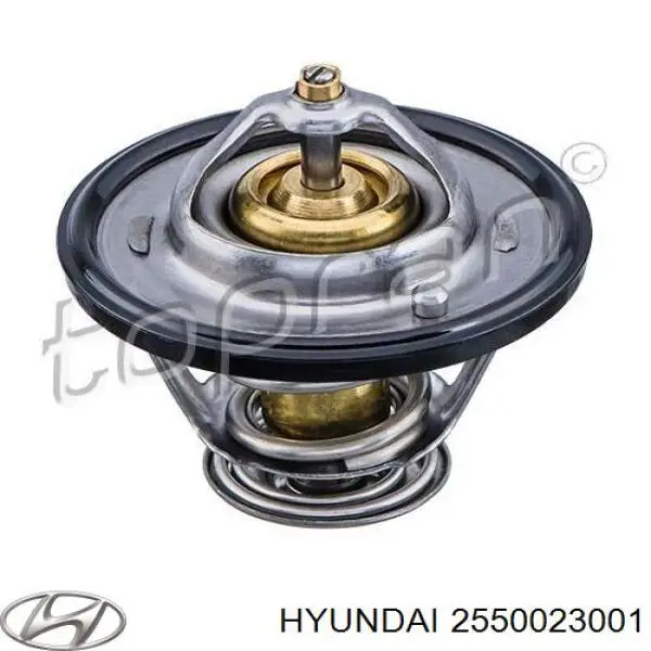 Купити 2550023001 Hyundai/Kia Термостат в корпусі