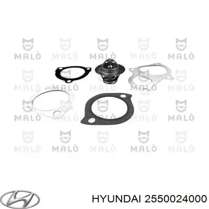 2550024000 Hyundai/Kia термостат