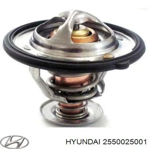 Купити 2550025001 Hyundai/Kia Термостат в корпусі