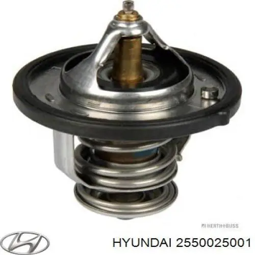 Термостат 2550025001 Hyundai/Kia