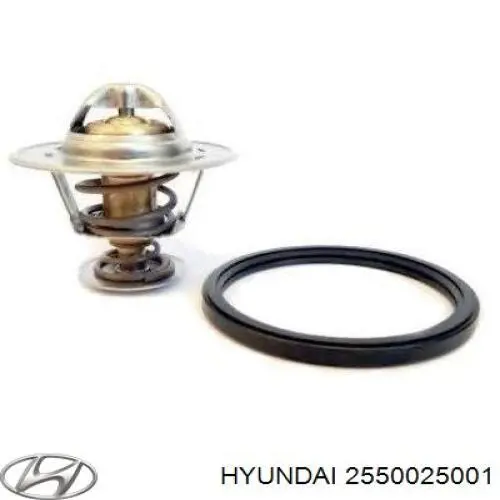 2550025001 Hyundai/Kia термостат