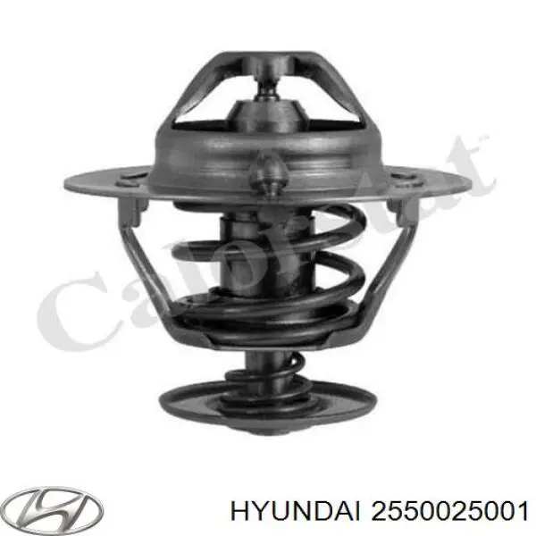 Термостат в зборі Hyundai/Kia 2550025001