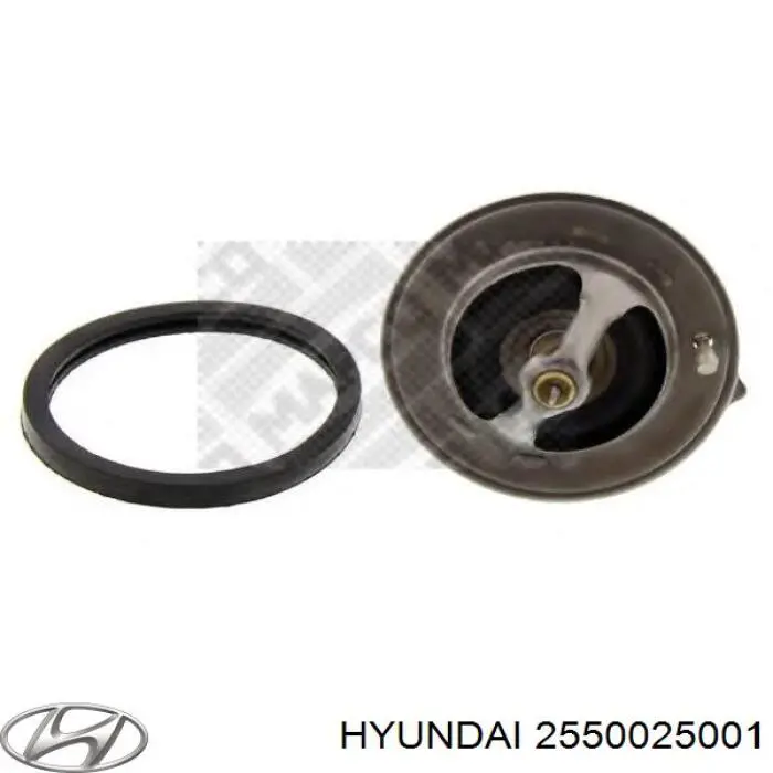 2550025001 Hyundai/Kia Авто термостат