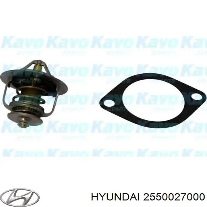 2550027000 Hyundai/Kia термостат