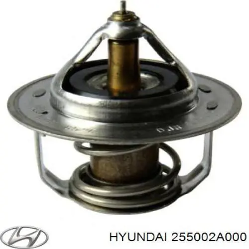 255002A000 Hyundai/Kia термостат