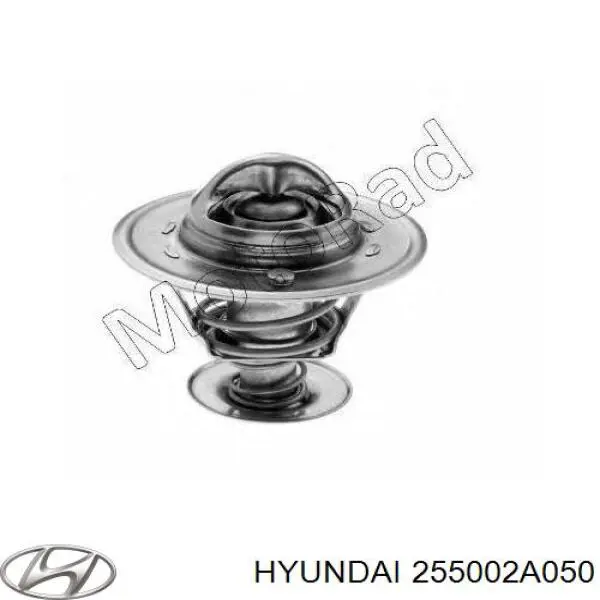 255002A050 Hyundai/Kia термостат
