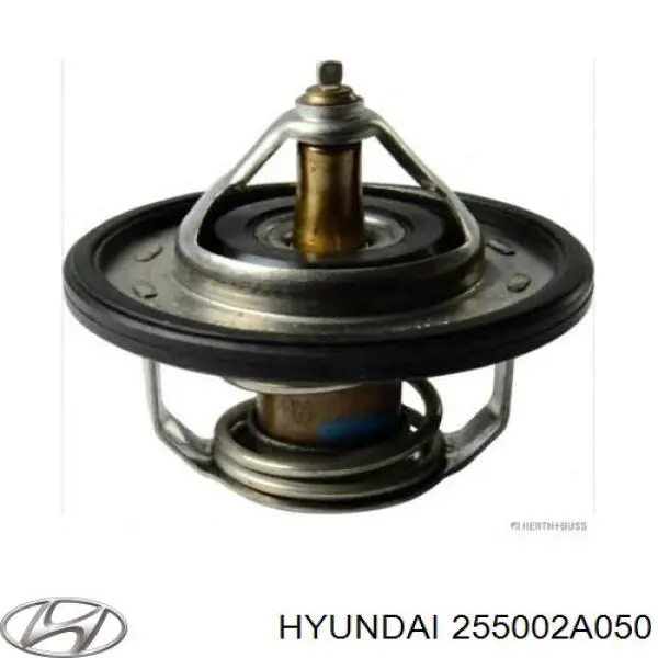 Купити 255002A050 Hyundai/Kia Термостат в корпусі