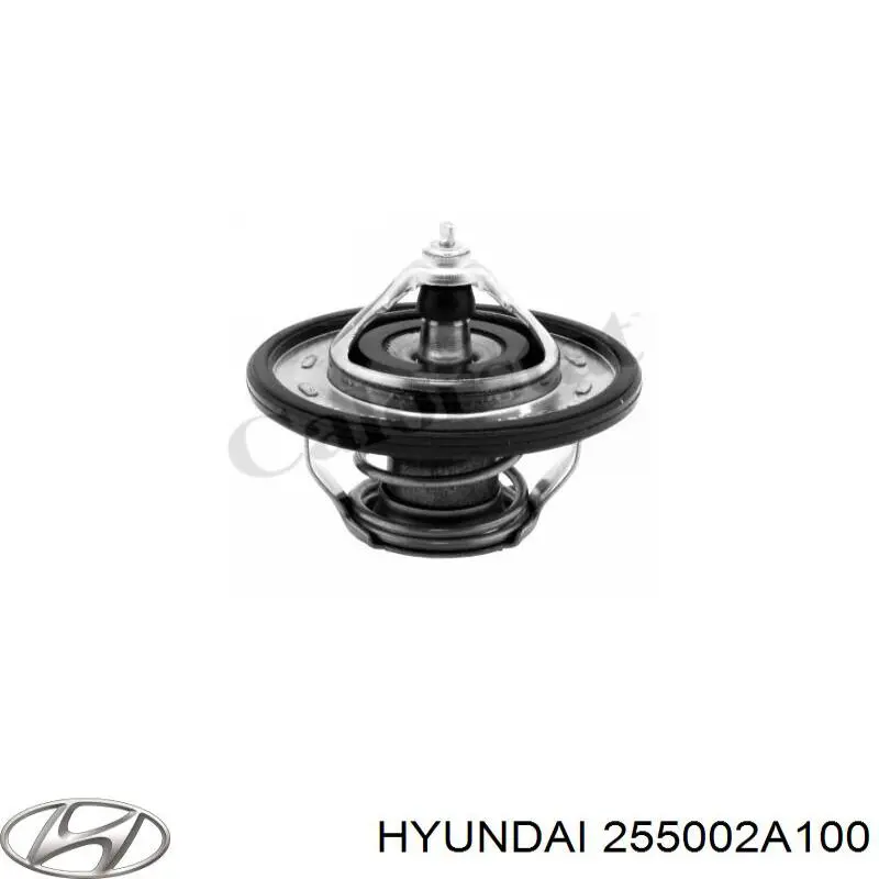Термостат в зборі Hyundai/Kia 255002A100