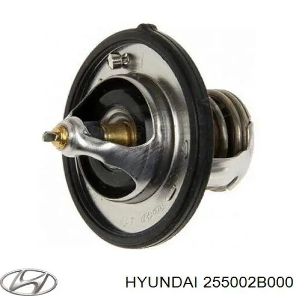 255002B000 Hyundai/Kia термостат