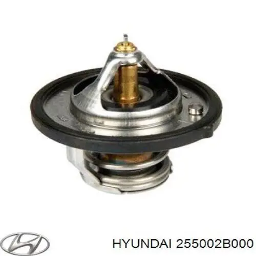 Купити 255002B000 Hyundai/Kia Термостат в корпусі