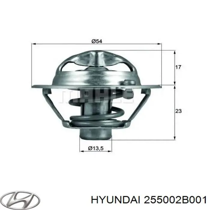255002B001 Hyundai/Kia термостат