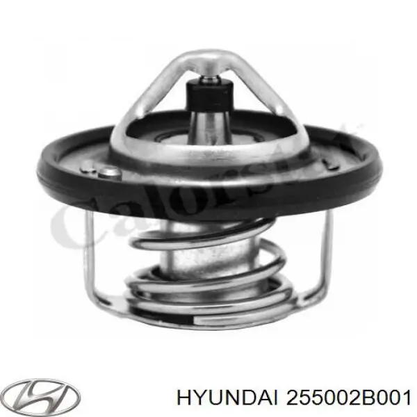 Купити 255002B001 Hyundai/Kia Термостат в корпусі