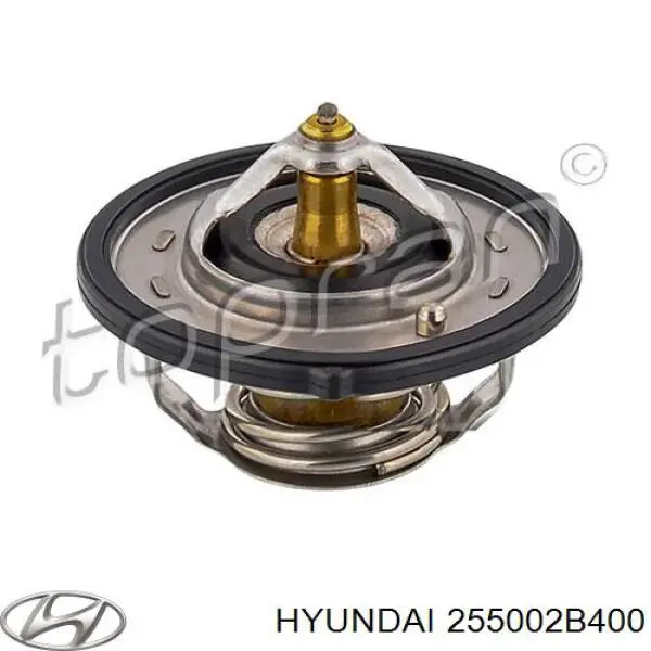 Купити 255002B400 Hyundai/Kia Термостат в корпусі