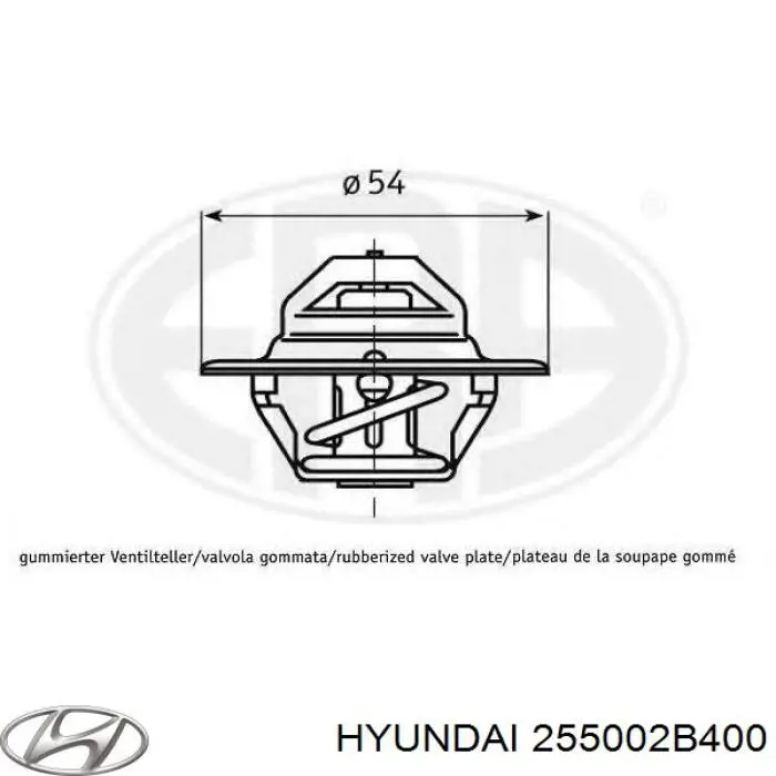 Термостат 255002B400 Hyundai/Kia
