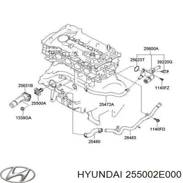 Купити 255002E000 Hyundai/Kia Термостат в корпусі