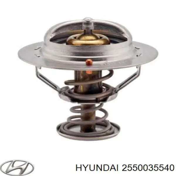 Термостат на Hyundai Santa Fe (DM)