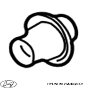 Термостат в зборі Hyundai/Kia 2550038001