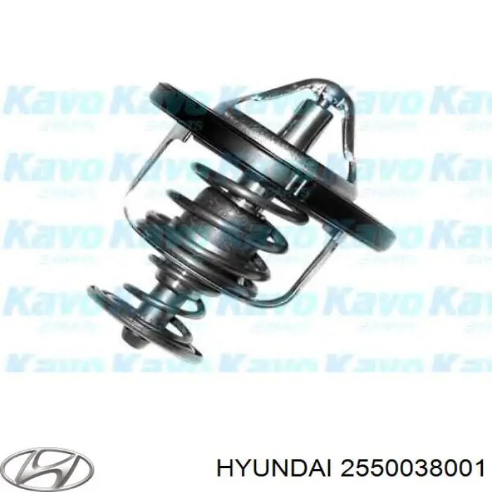 2550038001 Hyundai/Kia термостат