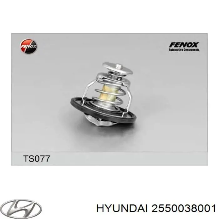 Купити 2550038001 Hyundai/Kia Термостат в корпусі