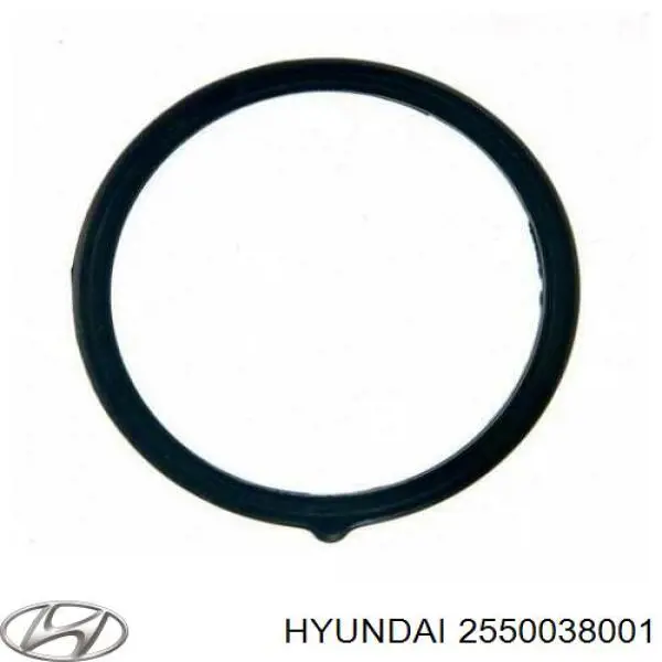 Термостат 2550038001 Hyundai/Kia
